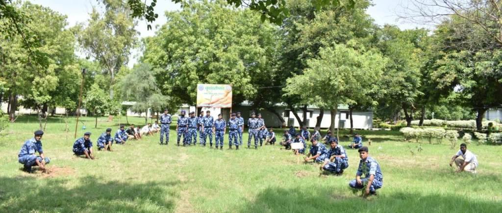   Tree Plantation-2023